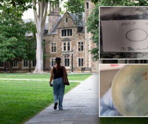 Three Chinese nationals charged in biological smuggling case: What we know