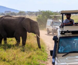 US State Department raises Tanzania travel advisory to Level 3 amid unrest