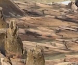 Typhoon exposes centuries-old shipwreck in Vietnam