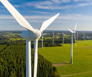 Green energy company hit with thousands in fines for killing bald eagles