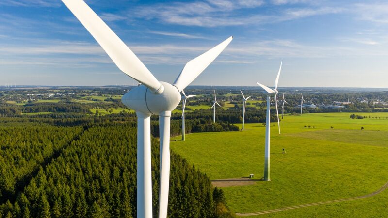 Green energy company hit with thousands in fines for killing bald eagles