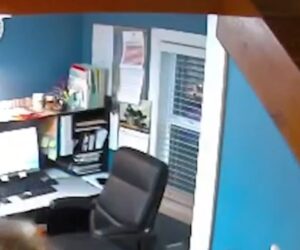 Search underway for suspect in alleged wine theft