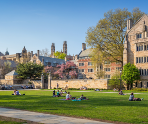 Yale expels fake student, raising academic fraud and security concerns